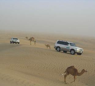 Jeep-Safari in der Wüste