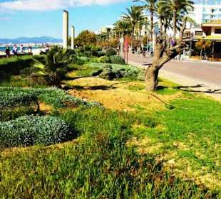 Schön angelegt direkt am Strand