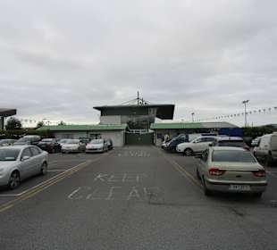 Windhundrennen Tralee