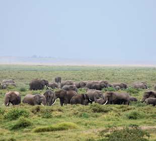 Amboseli Nationalpark