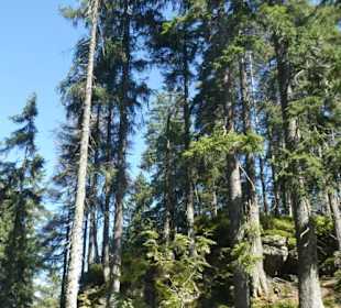 Auf dem Weg zum Kleinen Arber