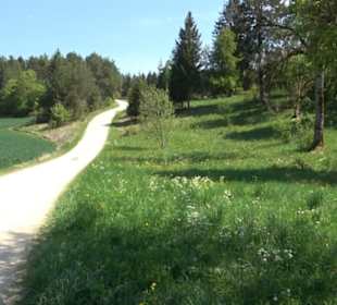 Premiumwanderweg Hochgehschätzt