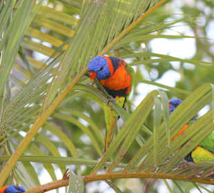 Kakadu National Park