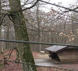 Wildpark Eichert