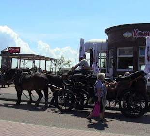 Pferdetaxi für Inselrundfahrt