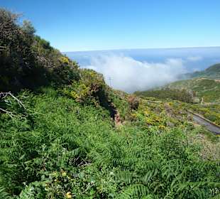 Am Rand der Hochebene: Levadinha da Serra