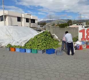 Bananen als Tierfutter