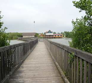 Blick zum Restaurant