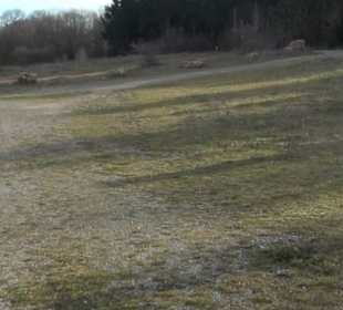 Ort der Stille Böttingen