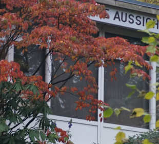 Parkanlage Planten un Blomen