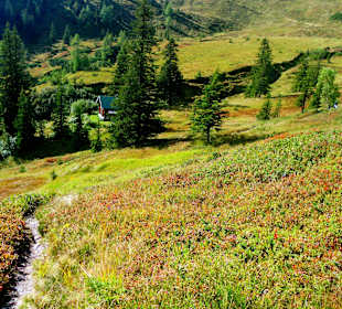 Typischer Wanderweg durch die Kräuterwelt