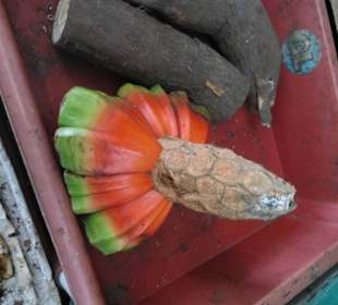 Unterwegs im einheimischen Markt 