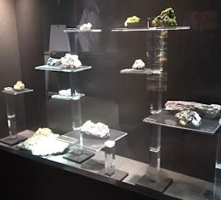 Staatliches Naturkunde Museum