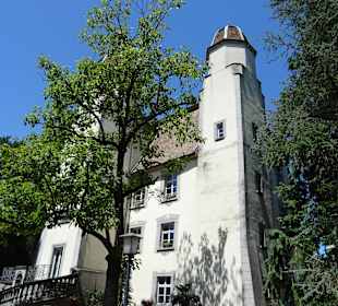 Schloss Schönau "Trompeterschloss"