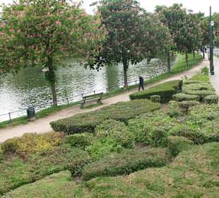 Зеленый островок