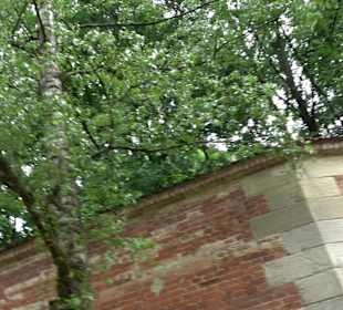 Baumlehrpfad Glacis Park