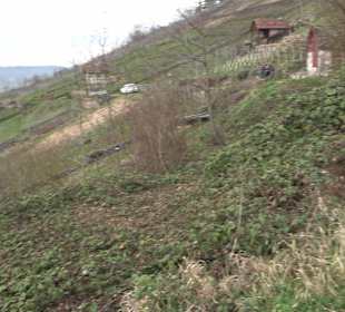 Unterjesinger Wengertwegle