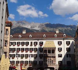 Blick zu den Bergen
