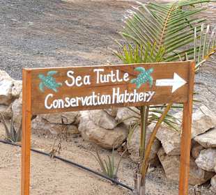 Stadtrundgang Santa Maria