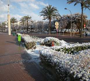 Die Strandpromenade im Schnee