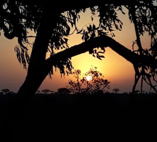 Sundown im Kruger Nationalpark