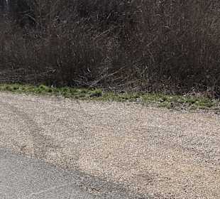 Wanderparkplatz an der Hängebrücke
