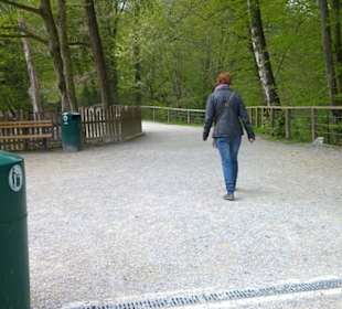 Südamerika Bereich - Litschi Wasserbock