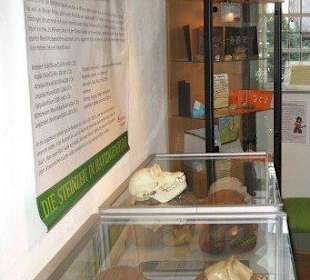 Heimatmuseum Bügeleisen-Haus