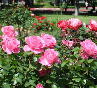 Москва - Кремль