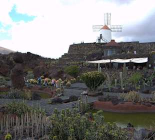 Jardin de Cactus