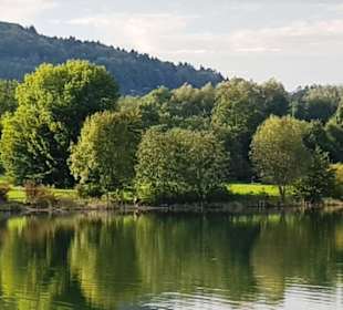 Uferlandschaft vom Stausee