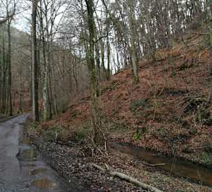 Weg zum Waldgaststätte Forsthaus Benjental