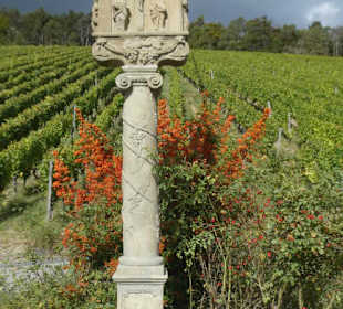 Weinbergswanderung Schoppen-Rundweg bei Ramsthal