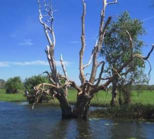 Auf dem Yellow River