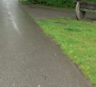 Wanderung rund um den Stadtsee