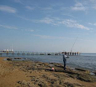 Angler