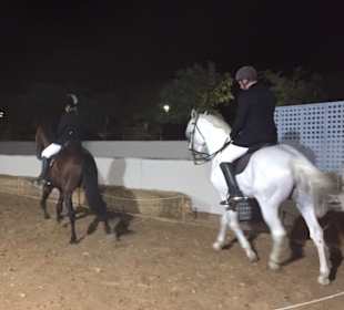 Reiten Novo Sancti Petri