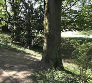 Rheinisches Landesmuseum 