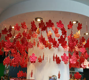 Stadtrundgang Toronto