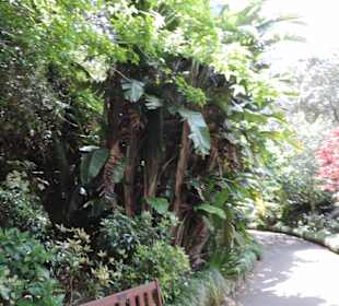 Eden Garden ein Paradies mitten in der Stadt