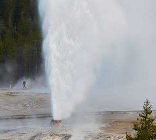 Beehive (Bienenstock-) Geyshir