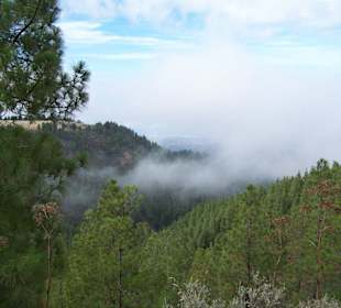 Im Norden, über den Wolken