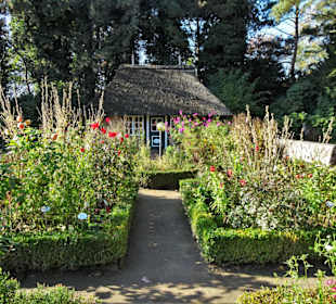 Rundgang durch den Botanischen Garten Hamburg