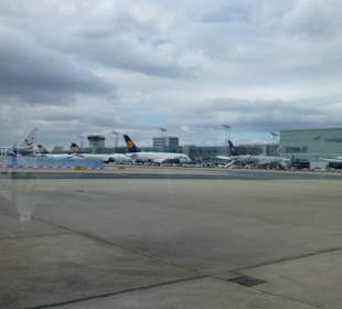 Flughafentour Frankfurt Airport! Super!