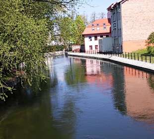Stare Miasto