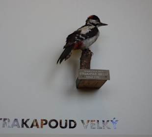 Národní zemědělské muzeum