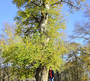 Wandern Tiflis / Tbilisi