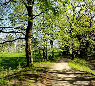Impressionen aus dem Park Höpkensruh