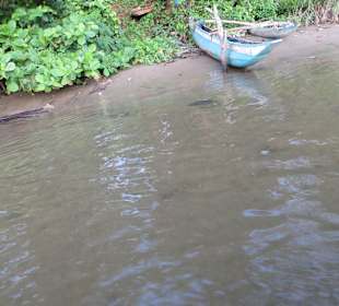 Flussfahrt direkt vor dem Club Hotel Dolphin mit Haralds Boo