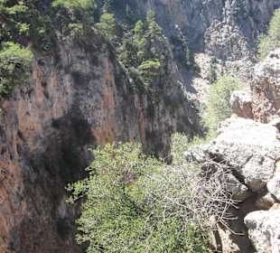 Die Schlucht weiter